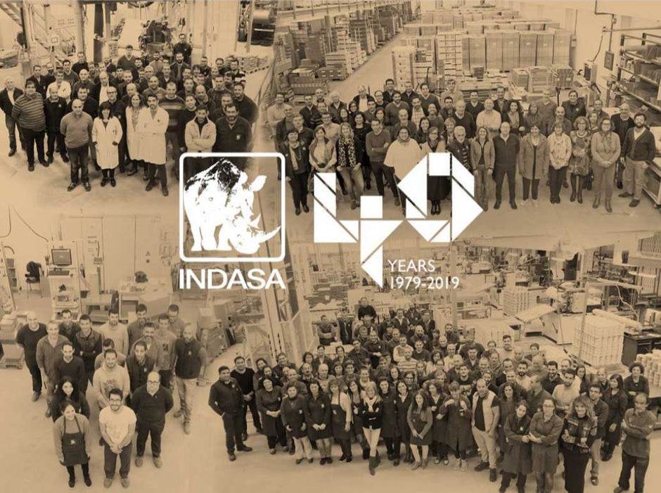 ABOUT INDASA HISTORY